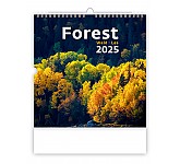 Nástěnný kalendář 2025 Kalendář Les