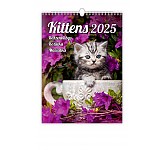 Nástěnný kalendář 2025 Kalendář Koťátka